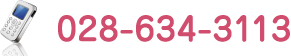 028-634-3113